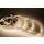 5 Meter LED Streifen 24V CCT Dual Weiss 2700-6500K 21W/M IP20