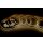5 Meter COB LED Streifen 24V Neutralweiss 4000K 4W & 480 Leds/M IP20